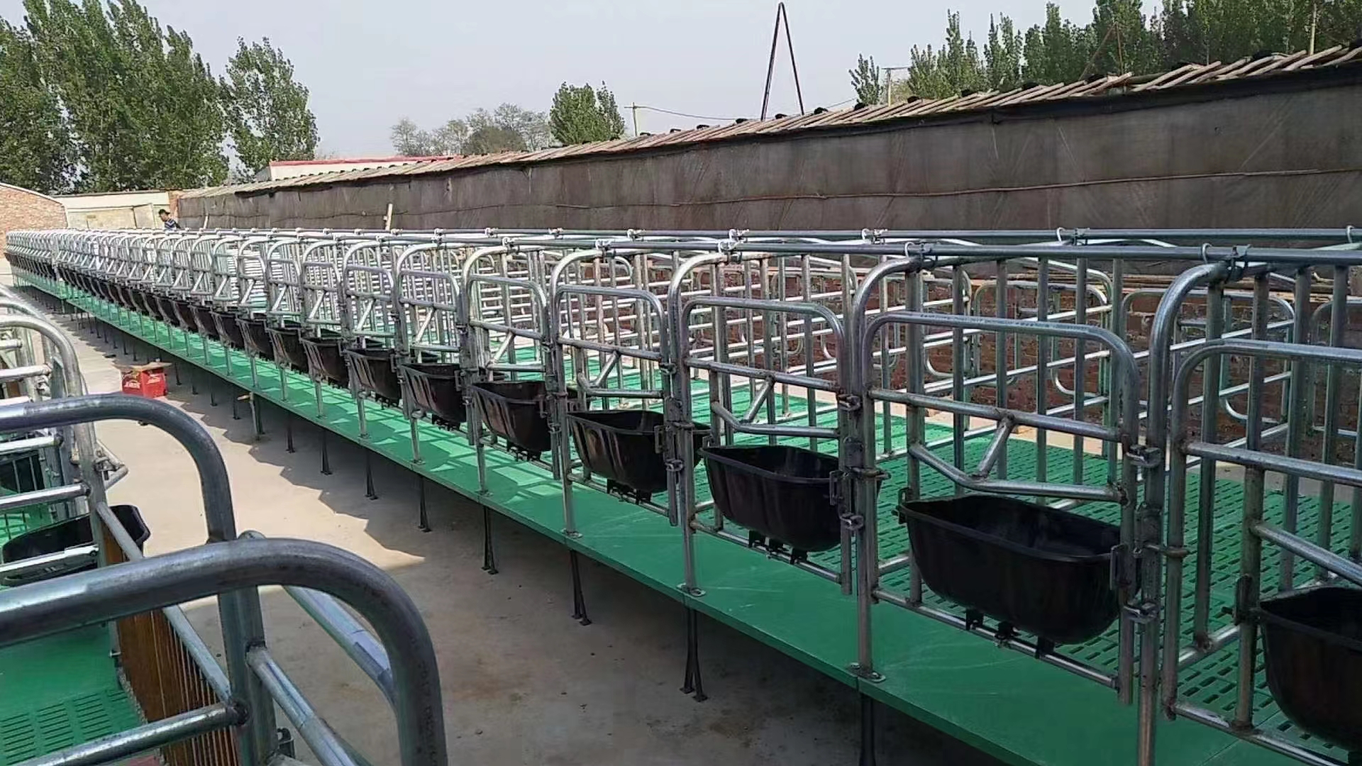 客户定制母猪限位栏整体热濅锌加厚钢管焊接