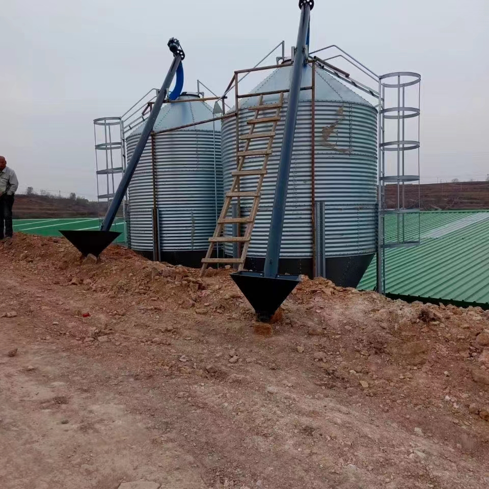 养猪场自动喂料线饲料存储运输设备料塔275成镀锌料塔