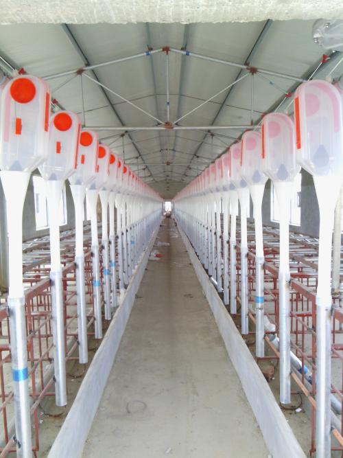 养殖场猪舍自动上料系统料线安装