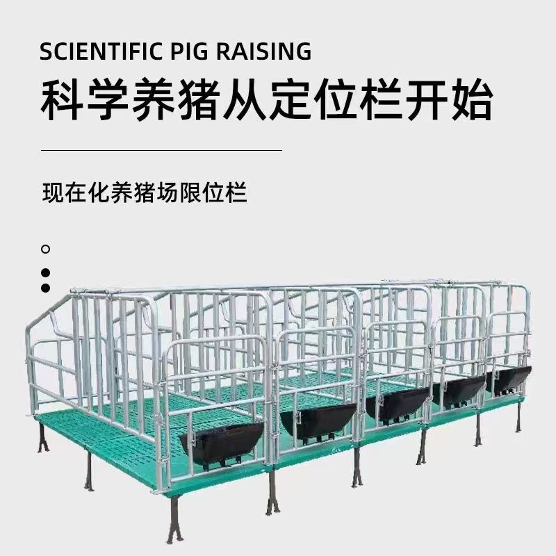 猪用热镀锌定位栏 热侵锌限位栏 悬空定位栏