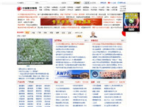 中国聚合物网